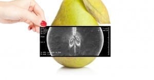 food science