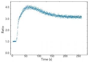 Fluorescence Kinetic Scan | Photoluminescence Spectrometer Measurement Example