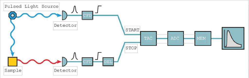 Tcspc what is time correlated single photon counting 