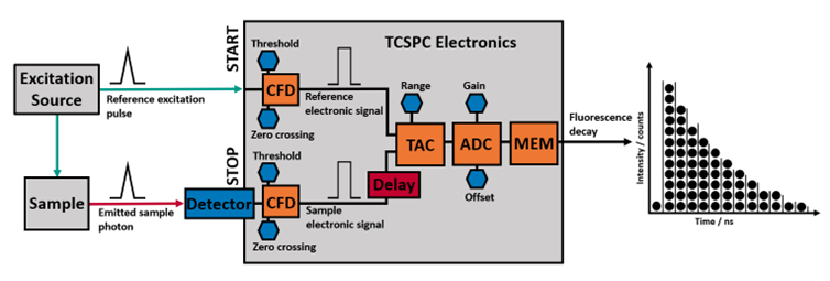 TCSPC schematic, TCSPC electronics components, time-to-amplitude converter, electronic signal from photon
