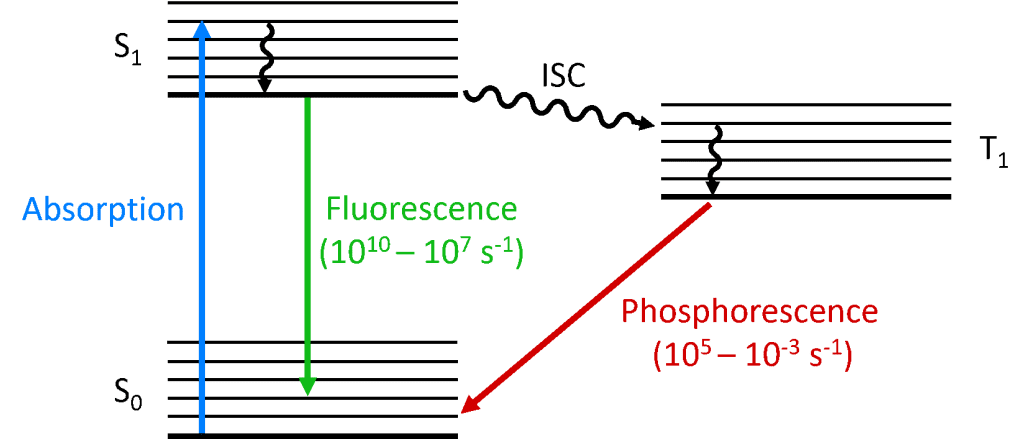 Fluorescence: Jablonski diagram