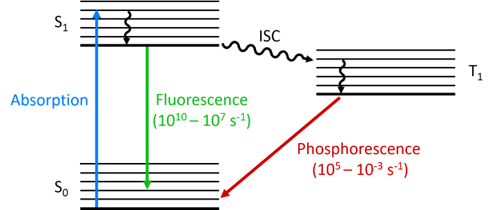 Fluorescence: Jablonski diagram