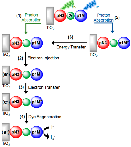 Dye Sensitiszed Solar Cell: Photoabsorption