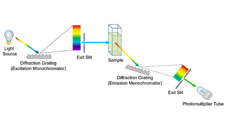 Single Beam Spectrophotometer Diagram
