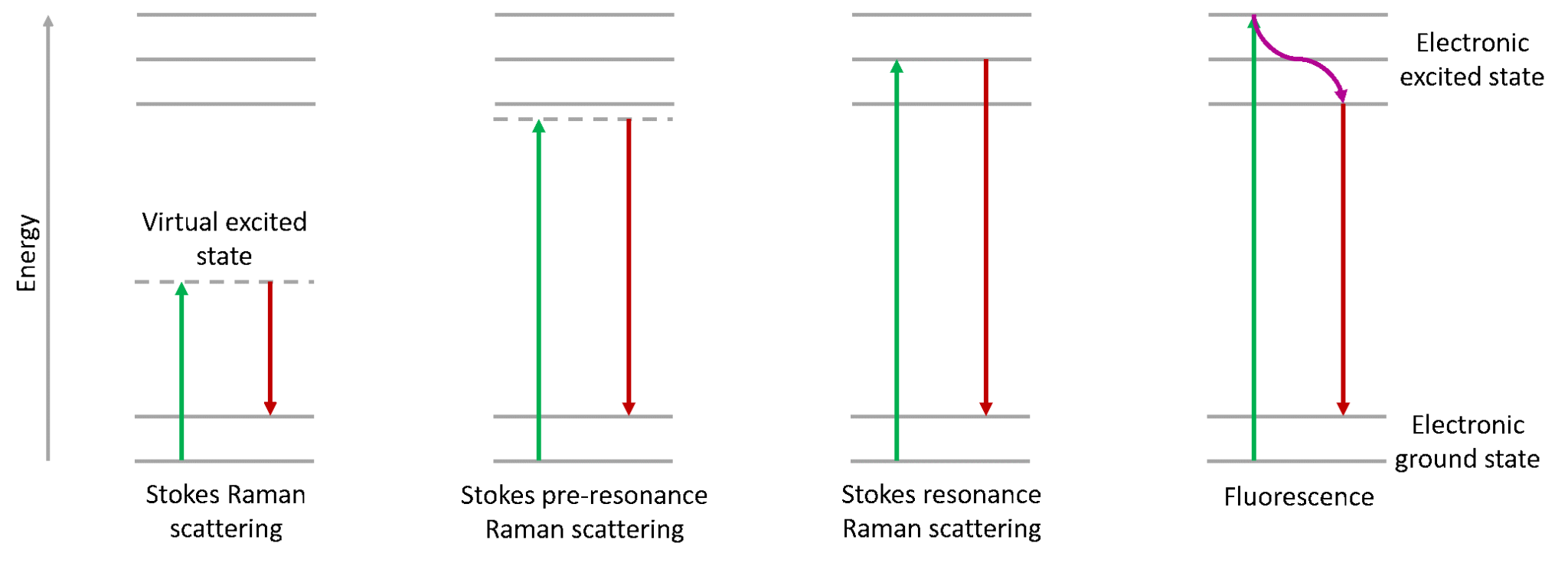 What is Resonance Raman Spectroscopy? Edinburgh Instruments