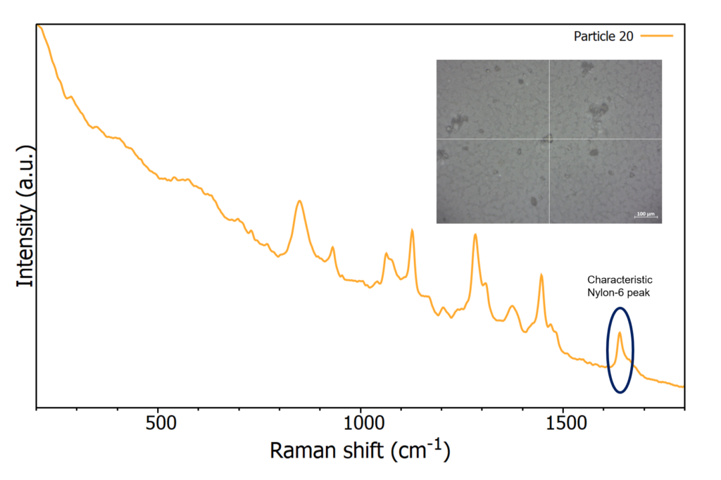 Raman spectra of nylon-6 on nitrocellulose filter