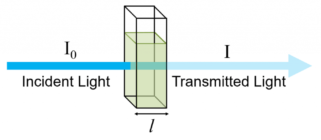 Absorbance and Transmittance of light through a cuvette