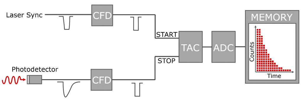 The main components of a TCSPC setup
