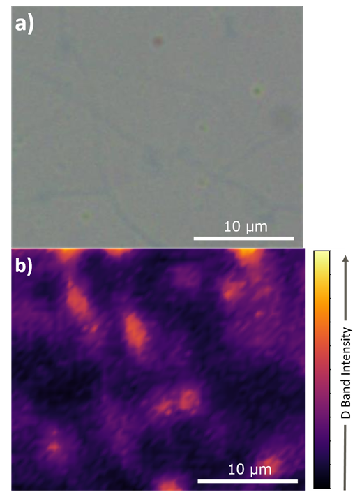 Visible image and Raman map of graphene sample highlighting defects 