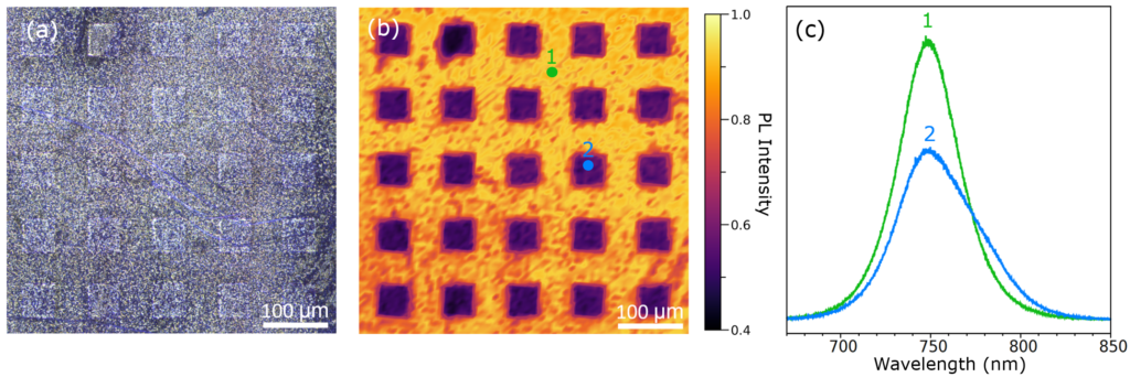 Perovskite photoluminescence map, VACNT