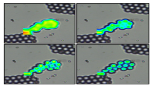 Spatial Resolution Raman Microscopy