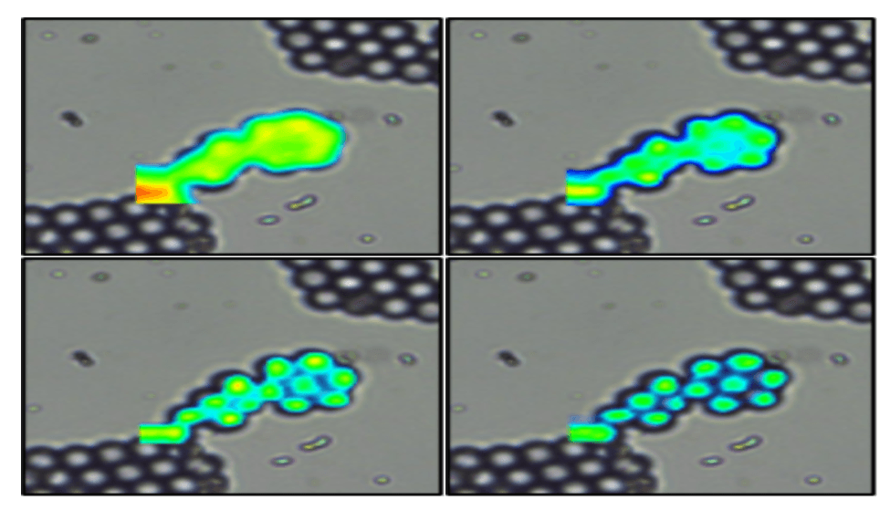 Spatial Resolution Raman Microscopy
