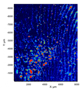 Confocal Raman and Photoluminescence Microscopy for Forensic Investigations