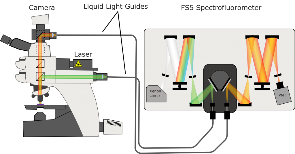 FS5 and microscope configuration for spectral measurements