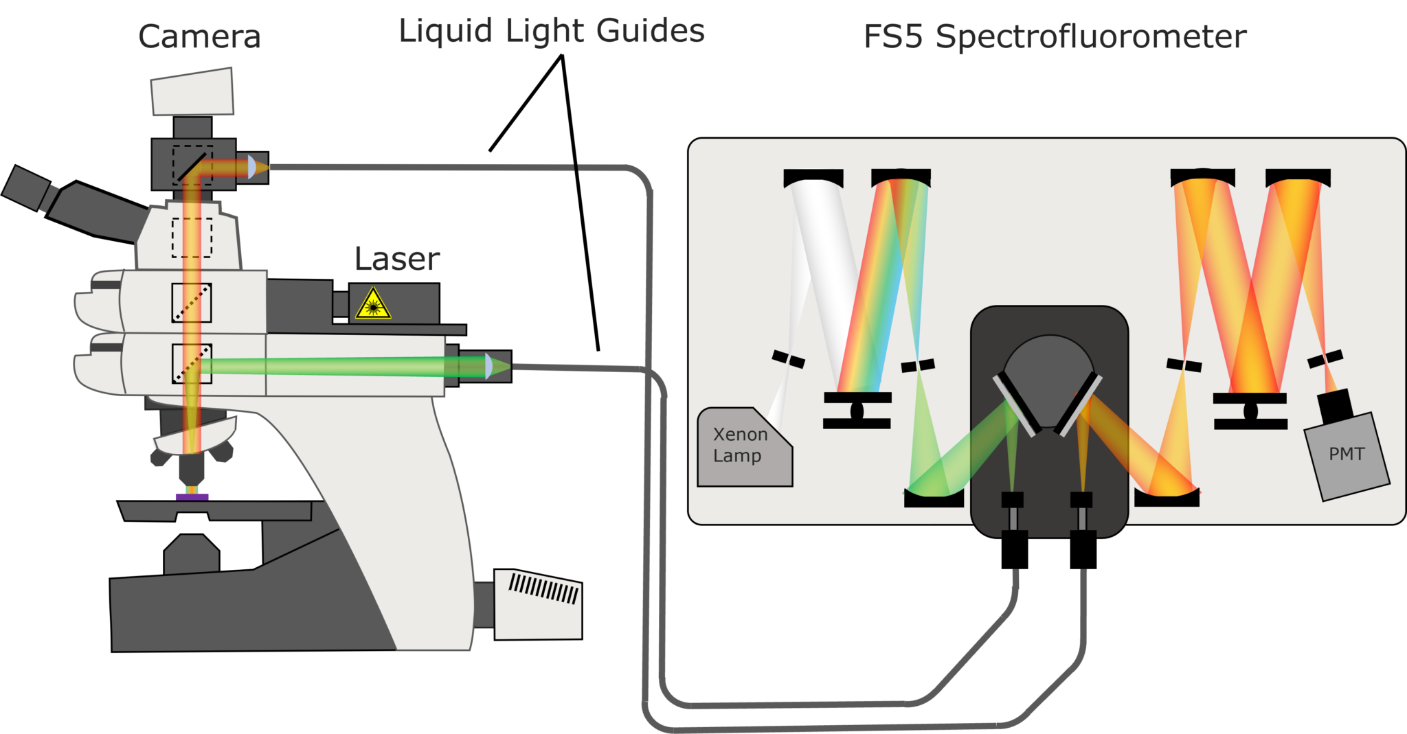 Fluorescence Microscopy Widefield FS5 Spectrofluorometer