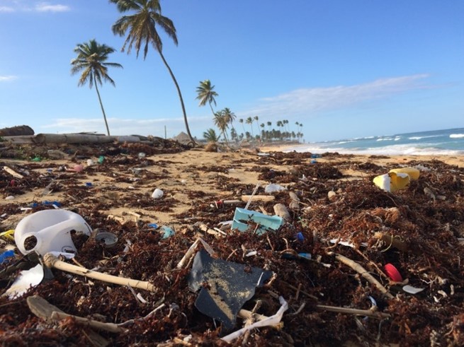 Plastic waste on a beach. Discover Edinburgh Instruments microplastic analysis using Raman spectroscopy. 