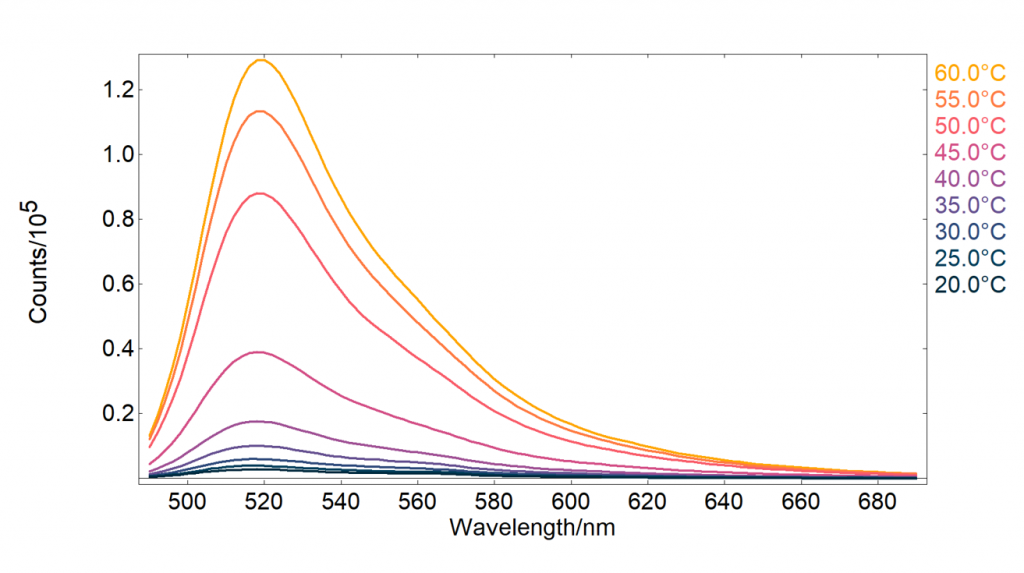 Molecular beacon fluorescence intensity at different temperatures