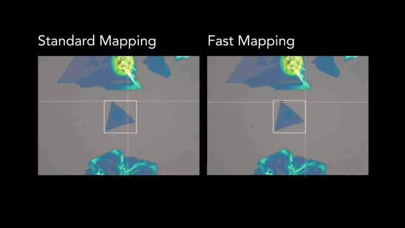 Comparing Standard and Fast Raman Mapping