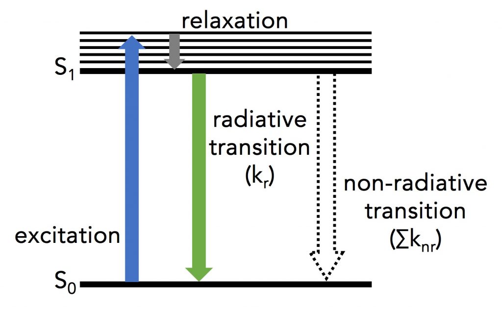 Fluorescence Lifetime | Jablonski diagram summarising the processes a molecule undergoes after light absorption