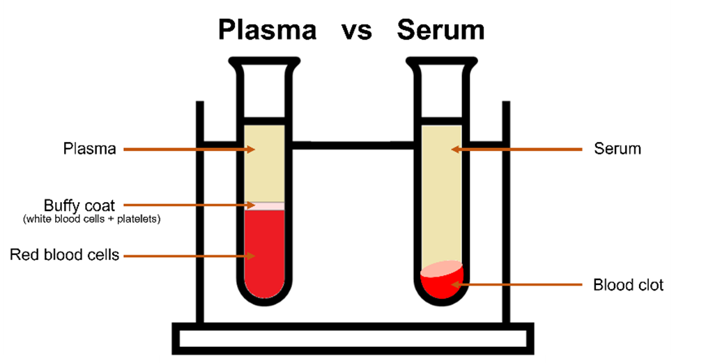 blood plasma and serum | ATR FTIR