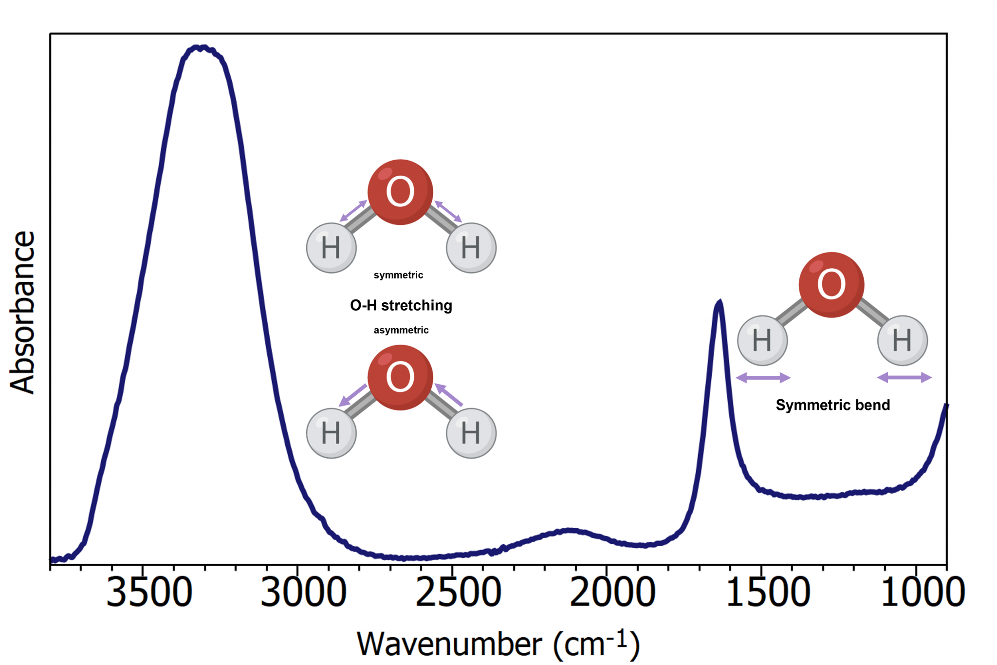 ATR FTIR Blood Serum Analysis Blood Spectroscopy