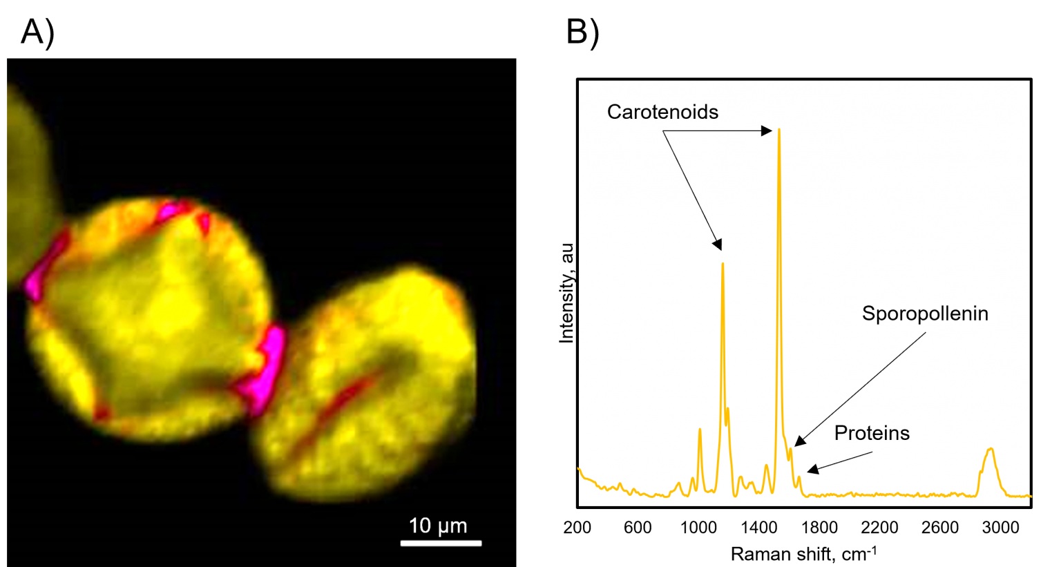Map of the Month - Pollen | Edinburgh Instruments