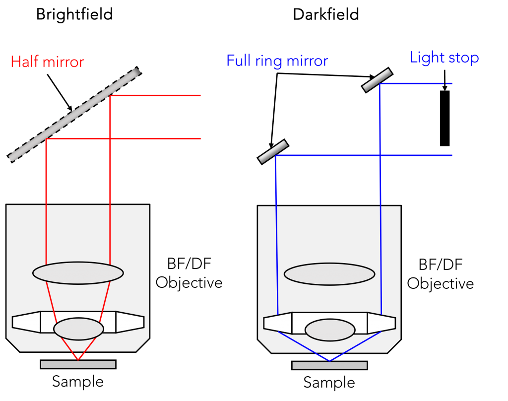 Differences between reflected brightfield and reflected darkfield within the microscope.