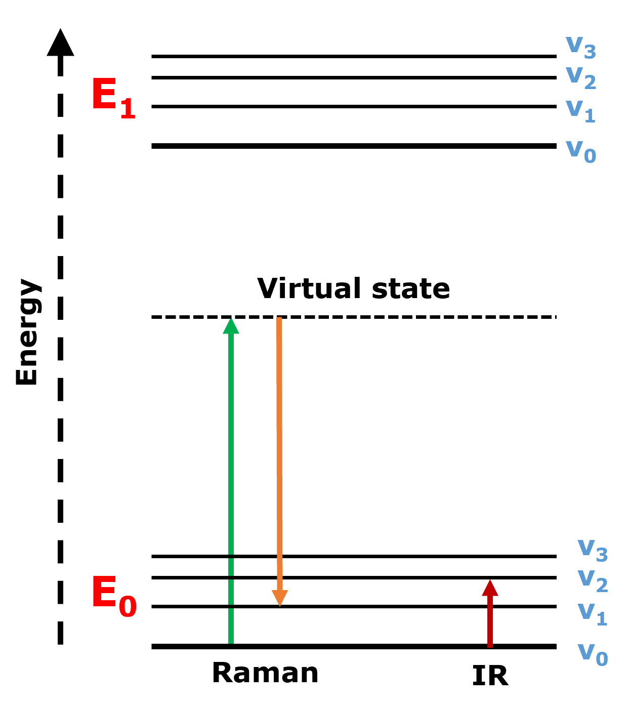 Infrared or Raman Spectroscopy?