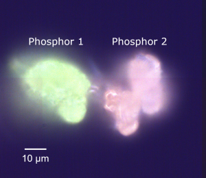 Darkfield image of phosphors 1 and 2 