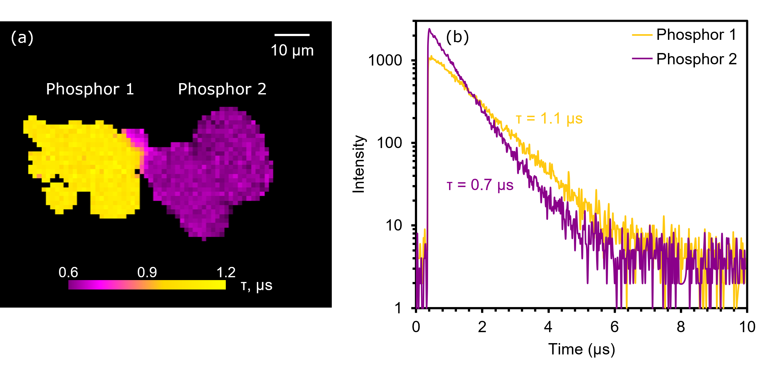 PLIM image and (b) decays of phosphors 1 and 2