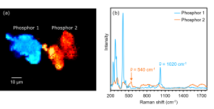 Raman image and spectra of phosphors 1 and 2.