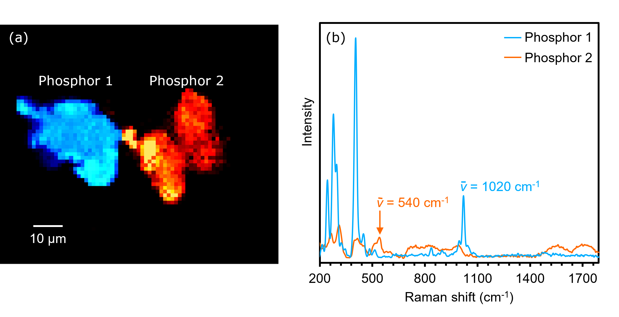 Raman image and spectra of phosphors 1 and 2.