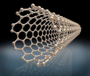 Carbon nanotube structure 