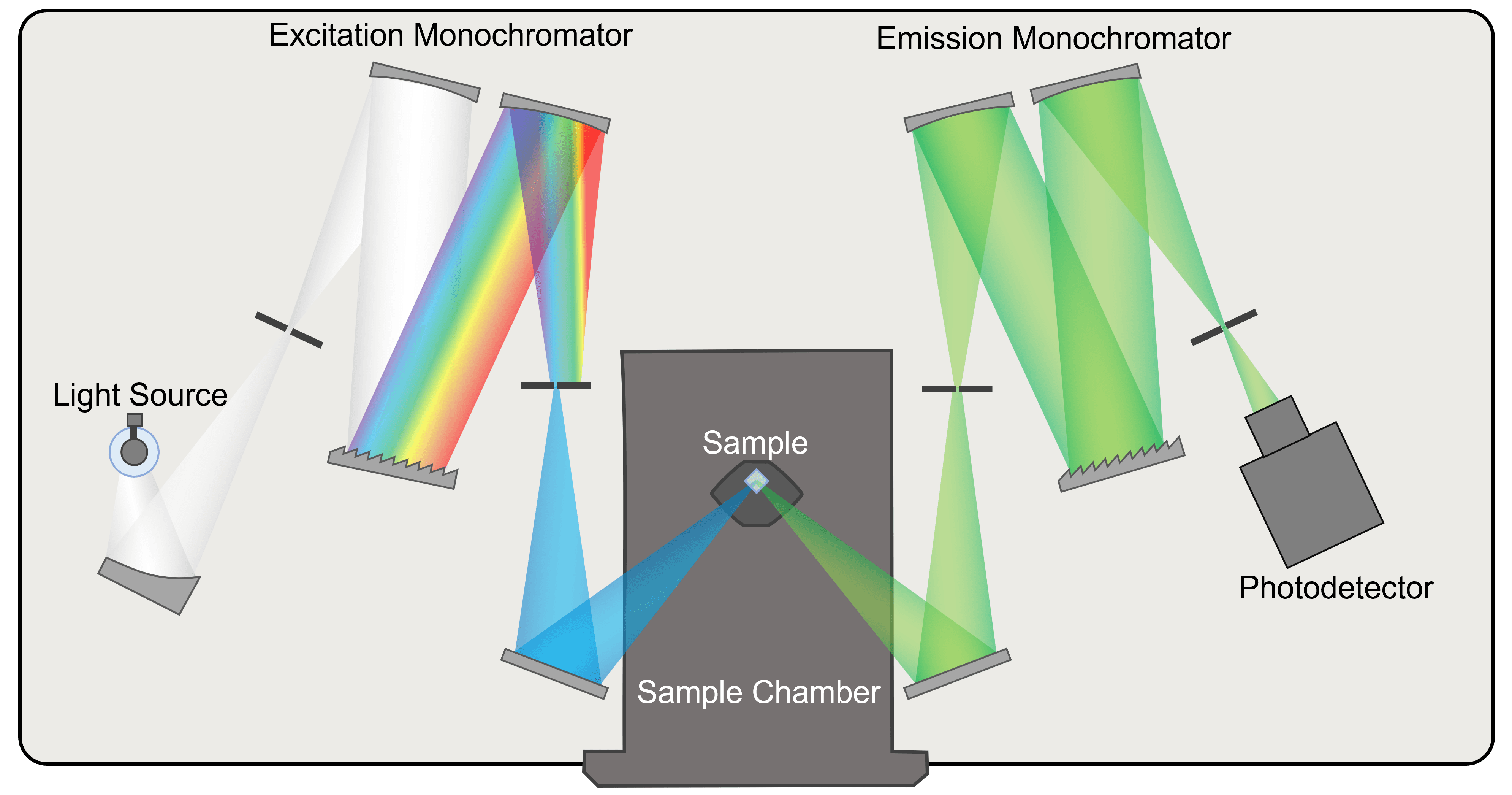 fluorescence spectrometer internal diagram showing light source and beam path through excitation monochromator, sample, emission monochromator and to the photodetector. 