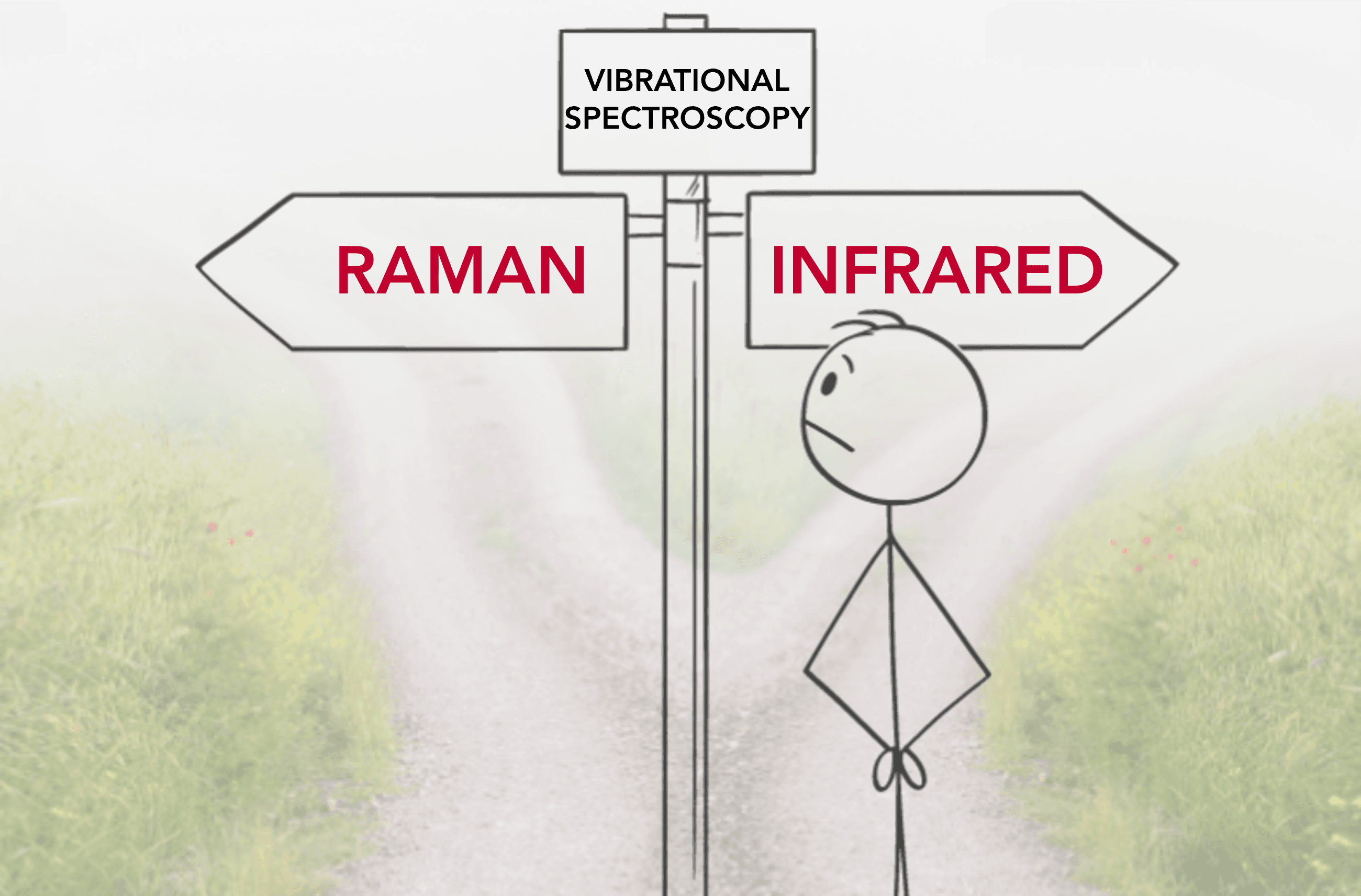 Infrared or Raman Spectroscopy?