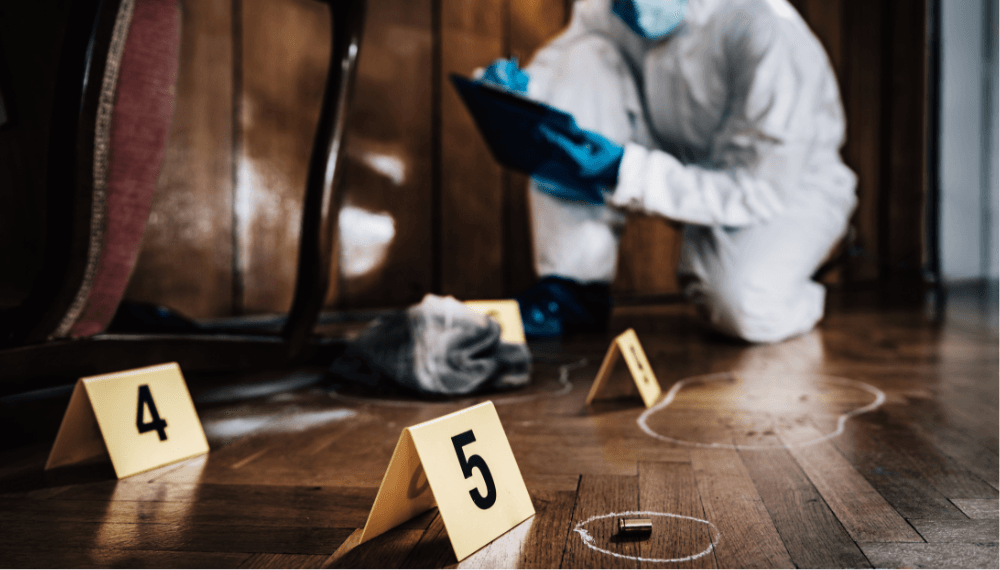 Forensic Paint Analysis Using Raman Microscopy