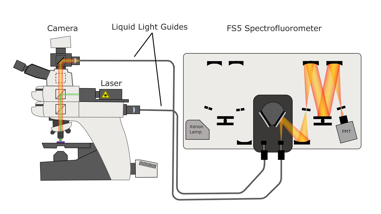 Example experimental setup for FLIM by coupling the MicroPL to an FS5 Spectrofluorometer.