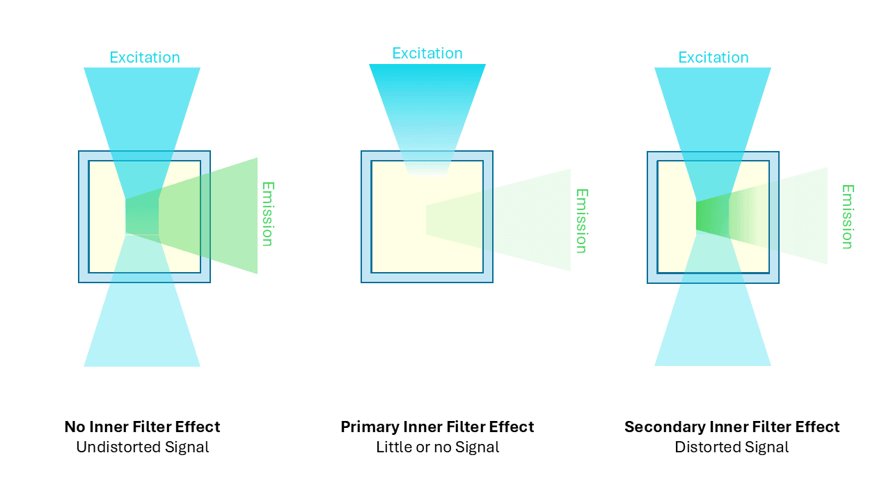 Fluorescence inner filter effect (IFE). Primary versus secondary IFE