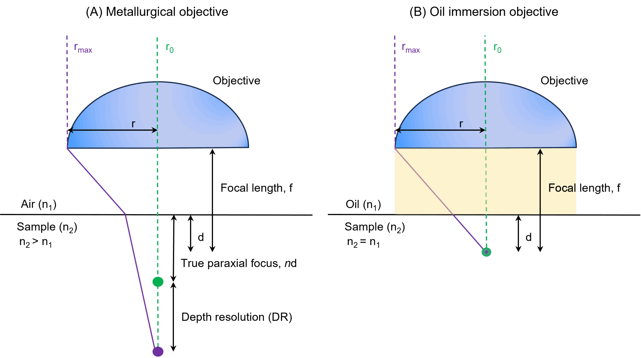 The focal depth and axial resolution obtained when using a (A) metallurgical and (B) oil immersion objective for 3D confocal Raman microscopy.
