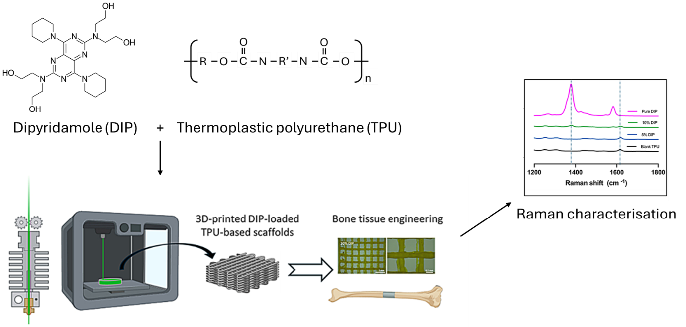 Schematic diagram illustrating the methodology for 3D-printed drug-infused bone and Raman characterisation, adapted from Wang et al