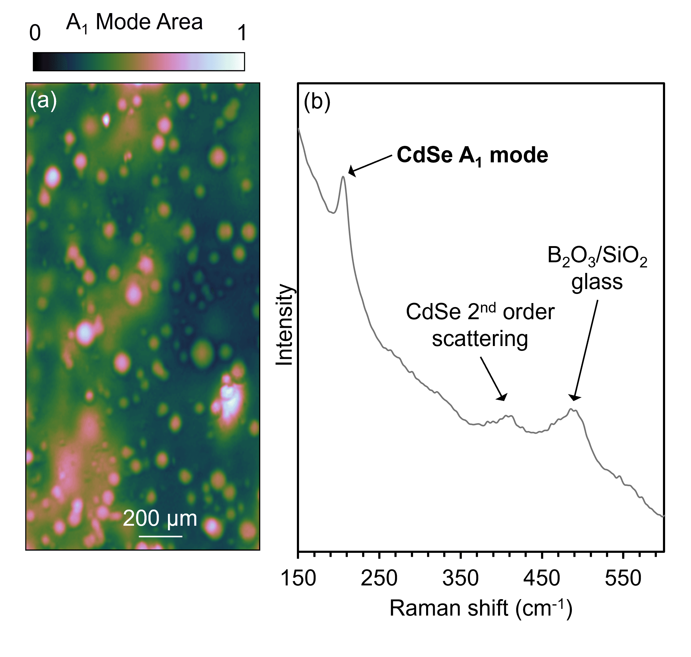 (a) Raman image of CdSe QDs in borosilicate glass using the peak area of the A1 symmetry mode to generate contrast. (b) A representative spectrum showing CdSe and borosilicate Raman signatures.