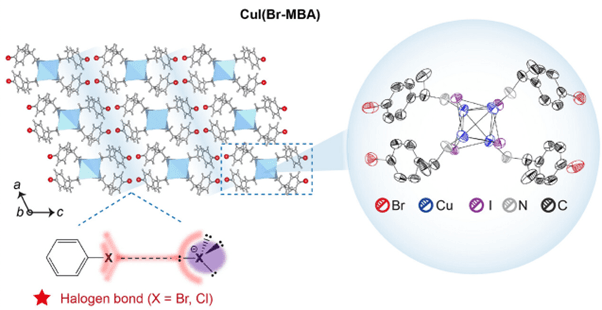 Lattice structure of halogenated copper cluster
