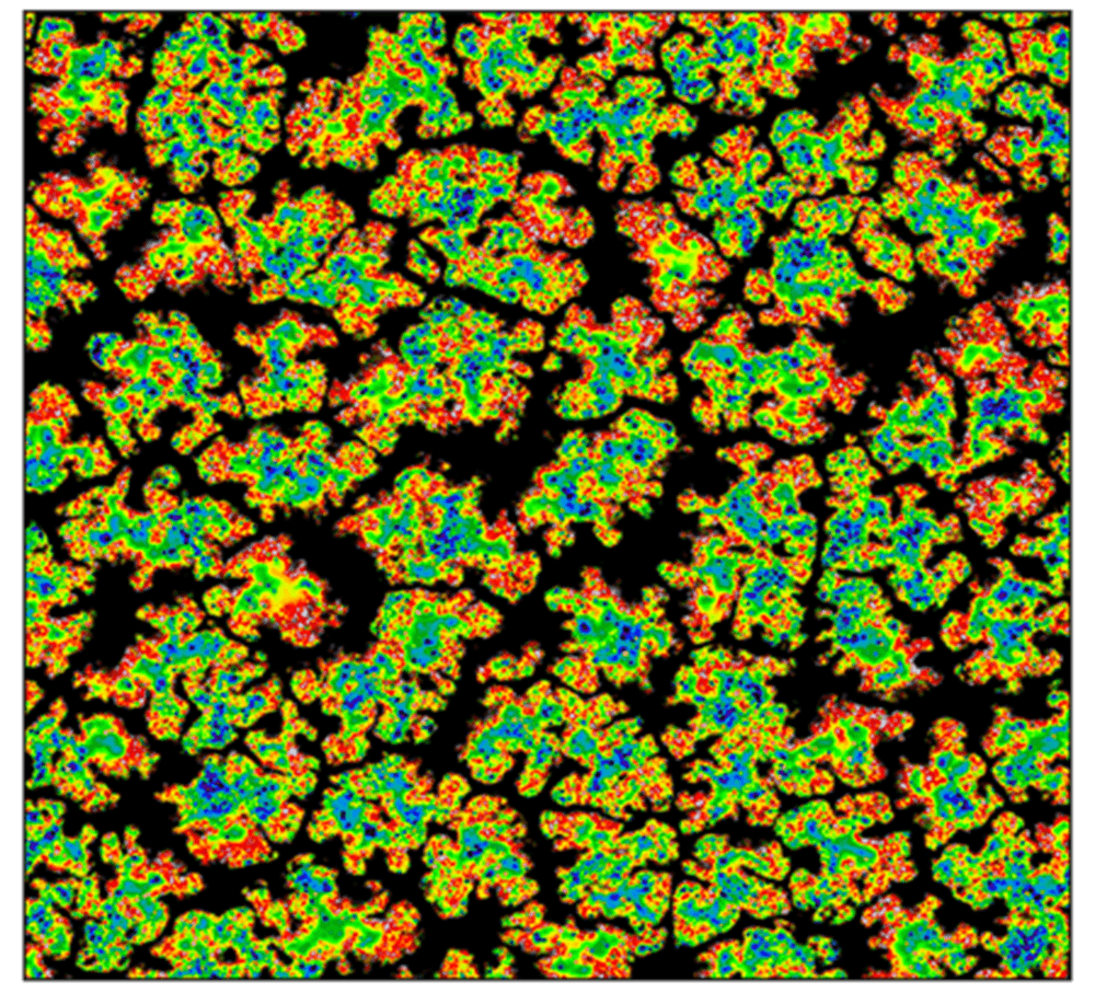 High-Resolution Raman Mapping Uncovers BiVO<sub>4</sub> Heterogeneity: A Key to Boosting Solar Fuel Efficiency