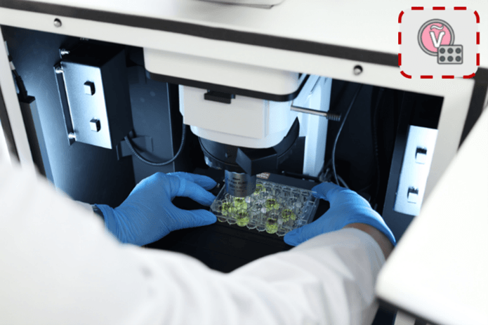 Multi-well plate analysis on RMS1000 Confocal Multimodal Microscope.