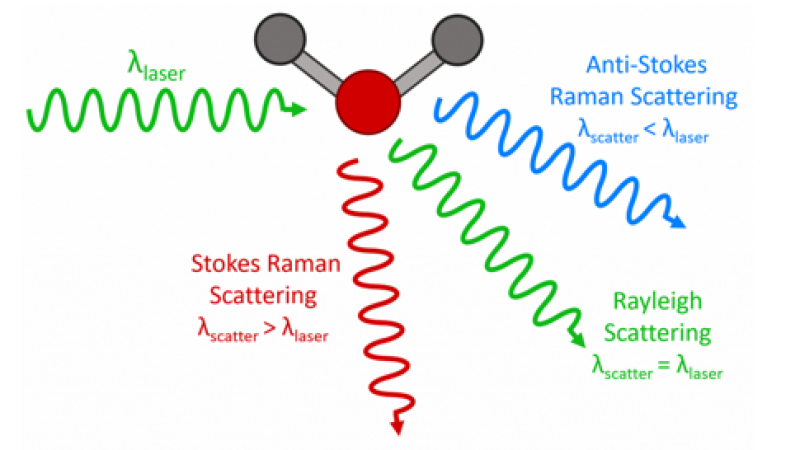 Blog_RamanScatter_Feature