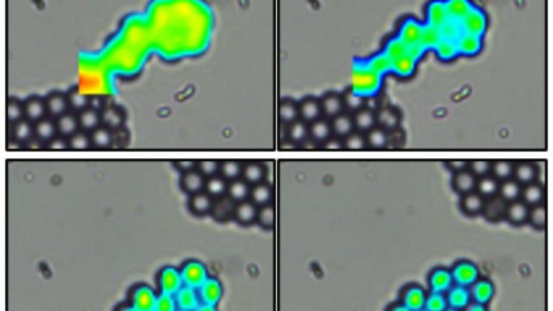 spatial-resolution-2